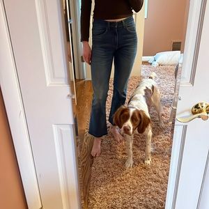 Imogene & Willie Ada jeans size 26